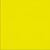180351 Neon Geel