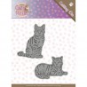 Dies - Amy Design - Cats - Sweet Cats
