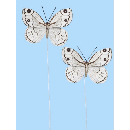 Vlinder  IV, Btl. a 2 St.