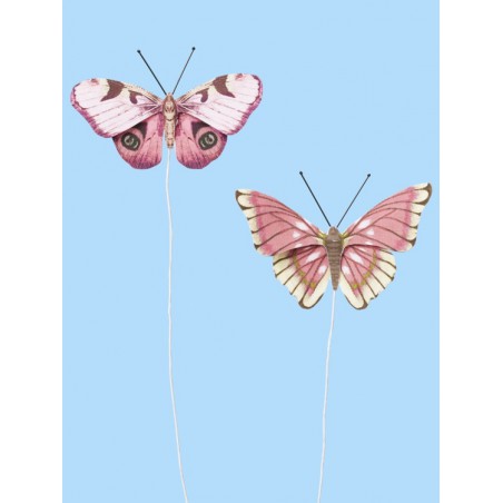 Vlinders VI, Btl. a 2 St.