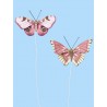 Vlinders VI, Btl. a 2 St.