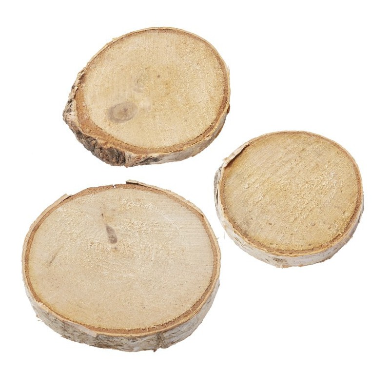 Berkenhout schijven, verschillende maten, max. 4 cm, buidel met 4 st