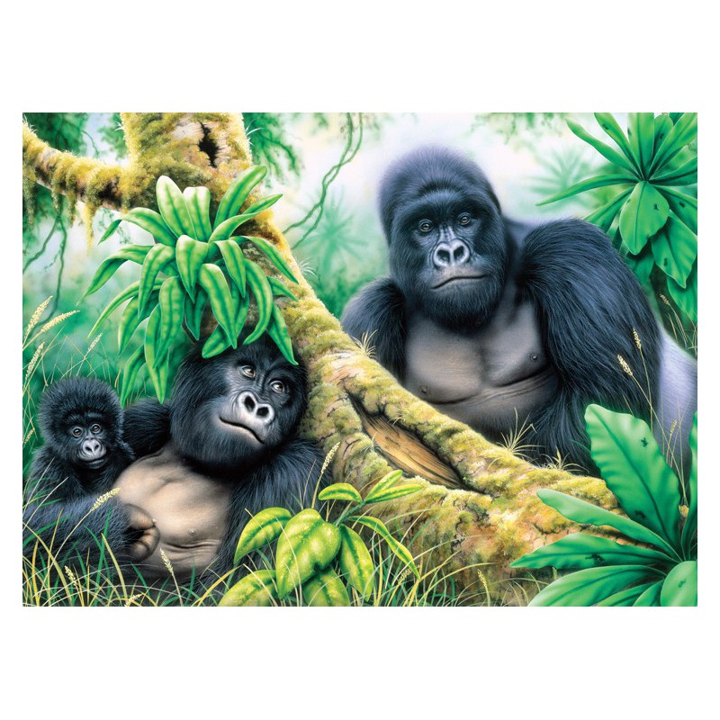 Painting by numbers MOUNTAIN GORILLAS