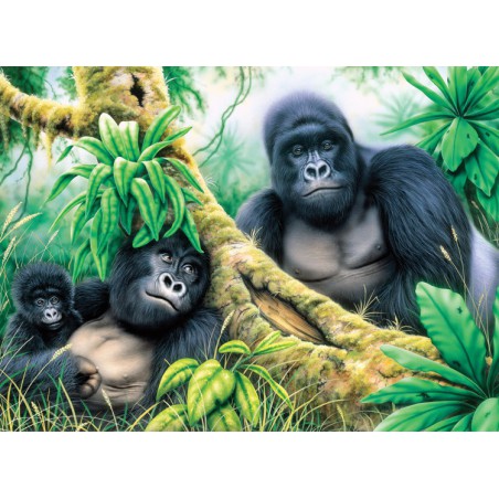 Painting by numbers MOUNTAIN GORILLAS