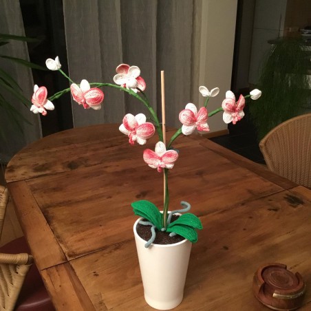 Haakpakket Orchidee