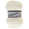 Lammy Yarns Canada verrassings pakket (incl verzending)