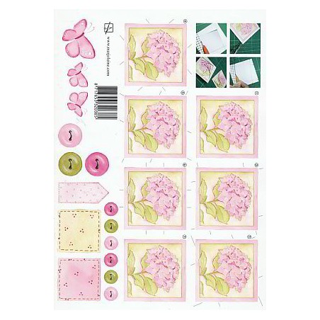 A4 knipvel Marjoleine Roze Hortensia